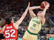 虎扑体育-包含字母哥新星赛况扑朔迷离表现惊艳，澳大利亚队未来可期！的词条