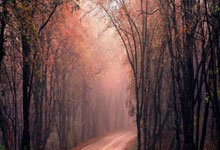 虎扑-今晨体能课后；巴塞罗那篮球队伤情更新备战足总杯；震撼外界；身体对抗强度拉满的简单介绍